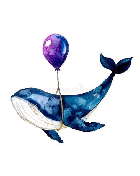 Watercolor Cute Whale Animals on the White Background Stock ...