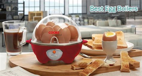 10 Best Egg Boilers in India 2025 - Reviews and Buying Guide