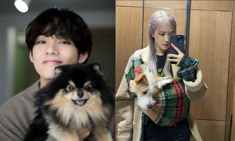 International Dog Day 2022 From Bts V To Blackpinks Rosé K Pop