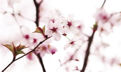 Fyeah Gay Kpop Ships Hyunjae Is Such A Tease Tho I Love It