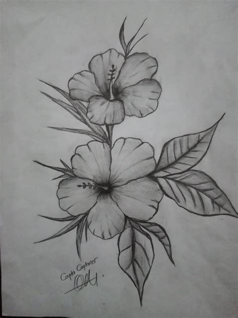 Lotus Flower Tattoo Drawing