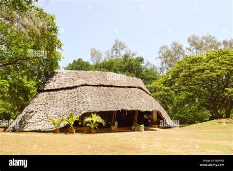 Traditional Habitat in the Forest Stock Photo - Alamy