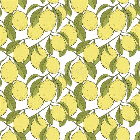 Lemons Vector Seamless Pattern Stock Vector Illustration Of Lemon