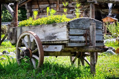 Old Cart Stock Photo Image Of Rustic Weathered Push 35460792