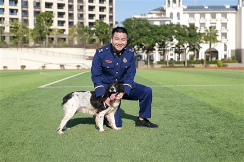 退出季 搜救犬训导员陈炳章：无言的告别就是最好的祝福 澎湃号·政务 澎湃新闻 The Paper