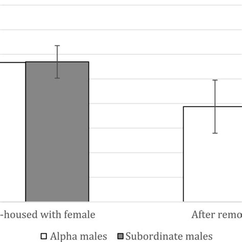 Of Average Weight And Body Measurements Of Alpha And Subordinate Males