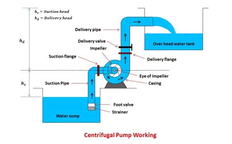 Centrifugal Pump Assembly Diagram Centrifugal Pump Working P