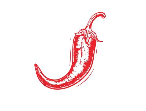 Chili SVG Chili Pepper Png Hot Pepper Svg Gardening Hot Sauce Pepper Design Svg Spicy Svg