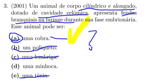 Oii O Gabarito A Eu Fiquei Em D Vida Na Parte Das Br Nqu Explica