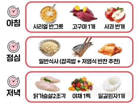 간헐적 다이어트 다이어트 다이어트 네이버 블로그