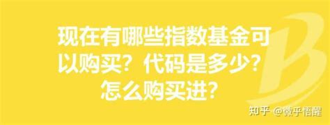 第四课 第六节 指数基金筛选实操，电脑版 知乎