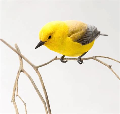 Prothonotary Warbler Bruce Lepper A M Decoys Folk Art