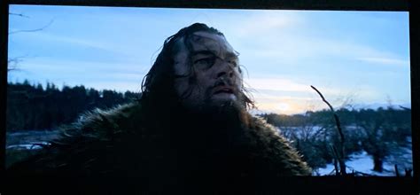 The Revenant 2015 Was Filmed Using Almost Entirely Natural Light