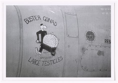 fiona banner buster gonad   unfeasibly large testicles  moma