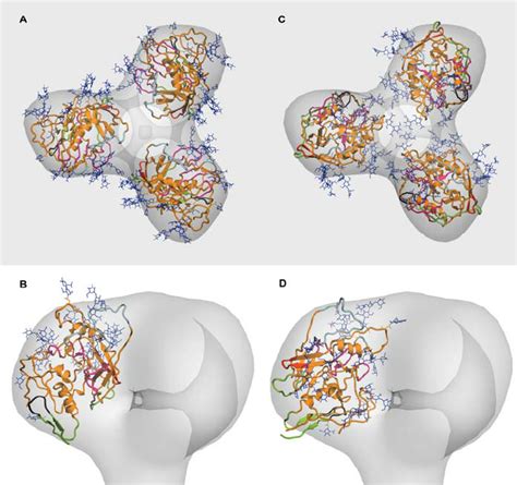 Fitting of the Molecular Model of Unliganded SIV gp120 into the ... 