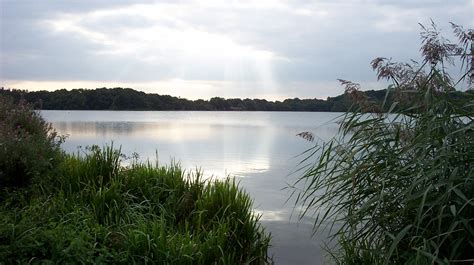 Frensham Great Pond