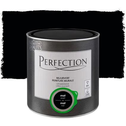 Peinture Murale Perfection Ultra Couvrant Noir L