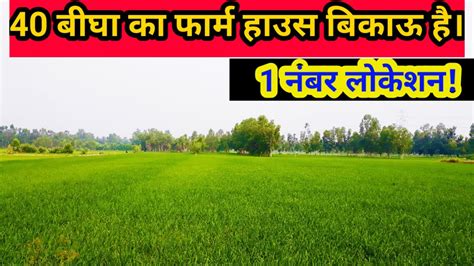 Bigha Agriculture Land For Sale In Bareilly Uttar Pradesh Pilibhit