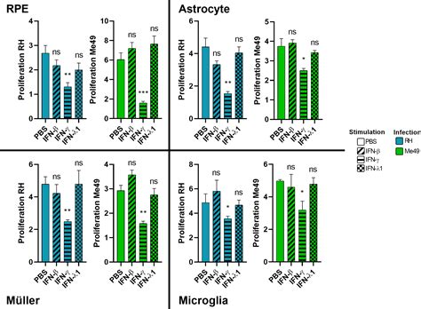 Frontiers Type I And Iii Interferons Shape The Retinal Cytokine