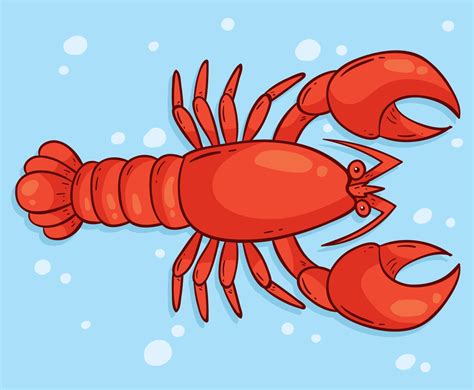 Hand Drawn Lobster Vector Vector Art & Graphics | freevector.com