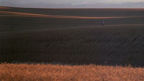 Images De Les Moissons Du Ciel 1978 SensCritique