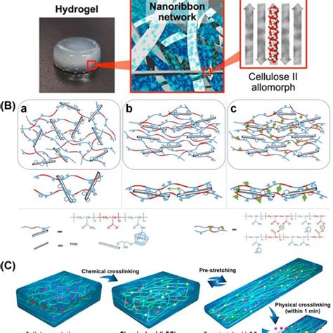 Schematic Illustrations Of Cellulose‐based Hydrogels Through Other