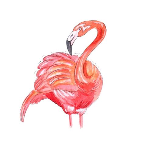 Premium Photo Pink Flamingo Watercolor Illustration Isolated On White