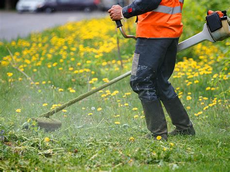 Manutenzione Verde Pubblico E Privato Cooperativa Sociale Integrata