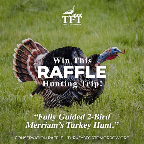 Raffle Prize 2 Fully Guided 2 Bird Merriams Turkey Hunt With Lazy