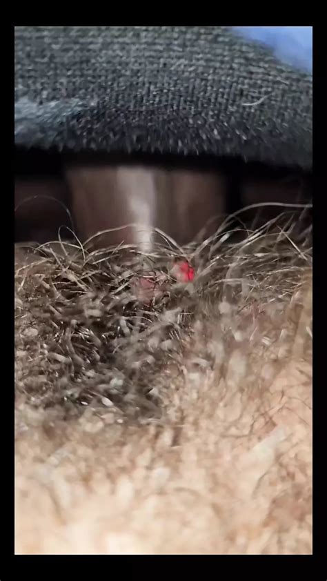 Free Slim Hairy Porn Videos Xhamster