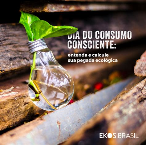 Dia do Consumo Consciente entenda e calcule sua pegada ecológica