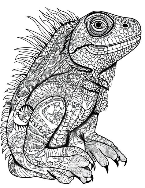 Tête De Lézard Iguana Noir Blanc Contour Pour La Page Du Livre De