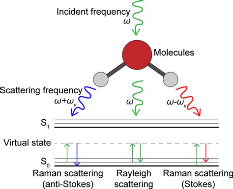 Scheme and Jablonski diagram illustrating Raman scattering and Rayleigh ...