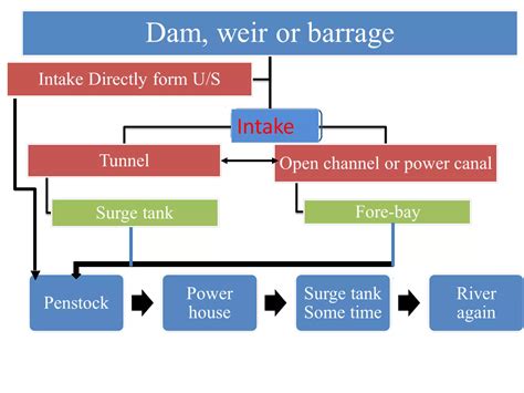 Elements Of Water Conductor System Ppt