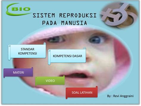 Ppt Sistem Reproduksi Pada Manusia Powerpoint Presentation Free