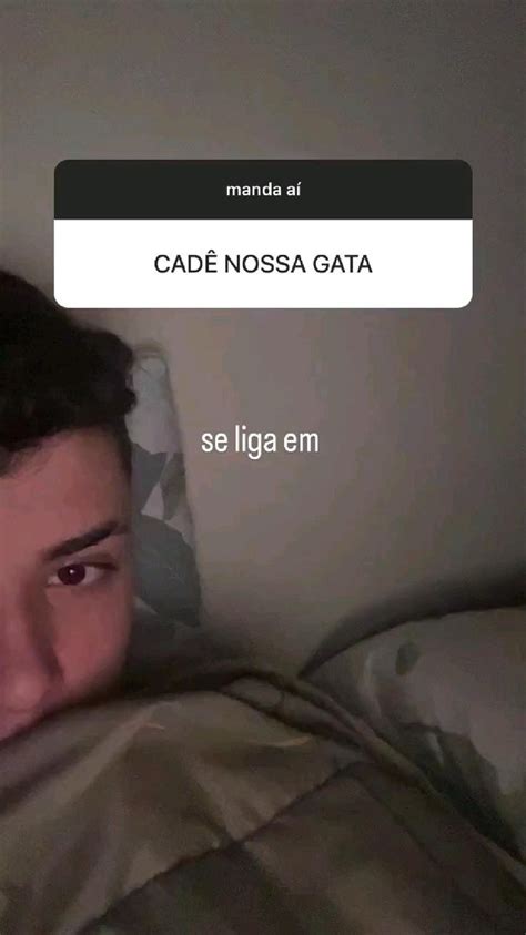 Pin De Andressa Em Salvamentos R Pidos Gatos