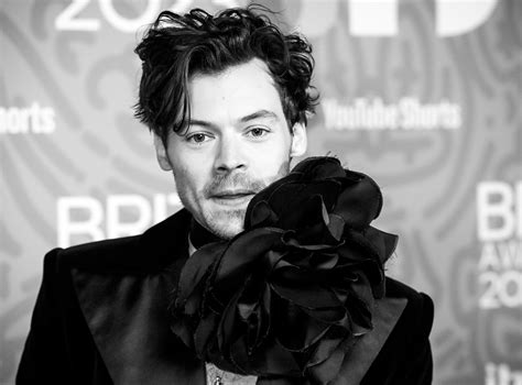 Harry Styles de nouveau en couple avec une influenceuse ? - Actu Harry