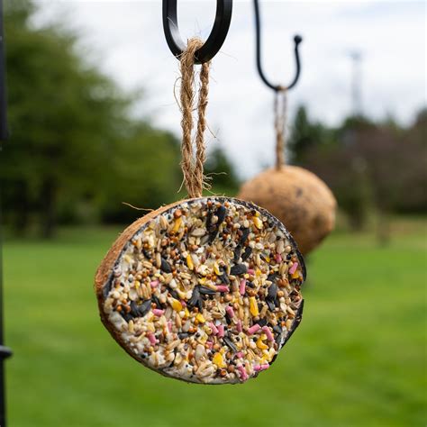 Peckish Extra Goodness Loaded Coco Cups Wild Bird Food Peckish Uk