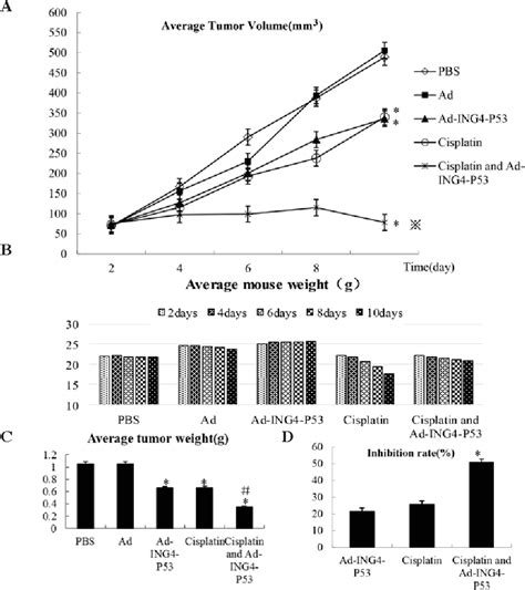 Figure 1 From Co Expression Of ING4 And P53 Enhances Hypopharyngeal