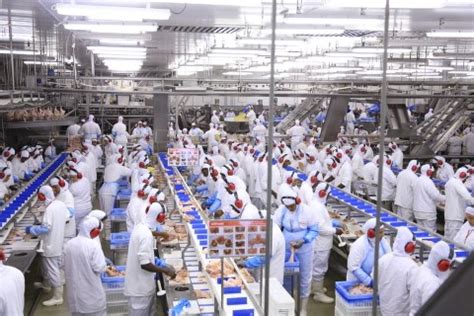 Mercado de frango GTFoods estima crescer 12 em exportações e faturar