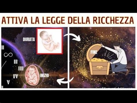 Leggi Universali La Legge Del Ritmo E Velocita Leggiuniversali