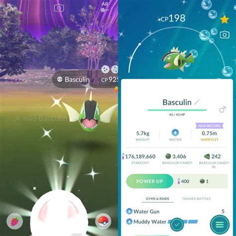 LA Shiny Reports Rotom and White Striped Basculin Pokémon GO Hub