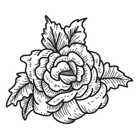 Diseño Png Y Svg De Flor De Icono De Dibujo De Cabeza De Rosa