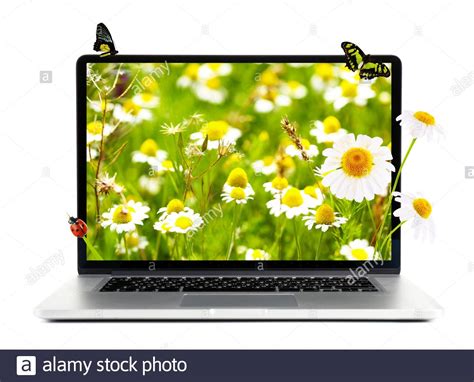 Laptop with nature wallpaper on screen isolated on white Stock Photo - Alamy