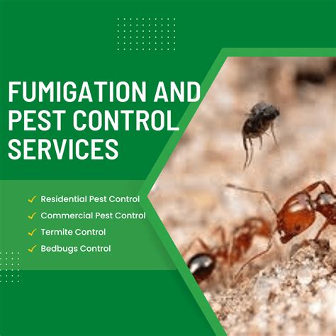 1 Best Fumigation Pest Control Services In Kenya