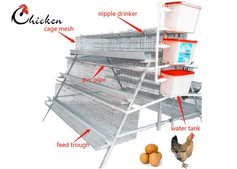 Automatic Chicken Layer Battery Cage Q235 Steel Modern Chicken Cages