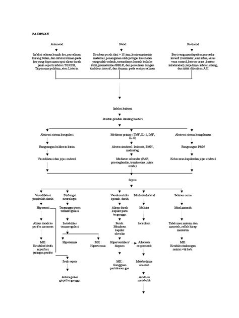 Pathway Syok Sepsis Pdf