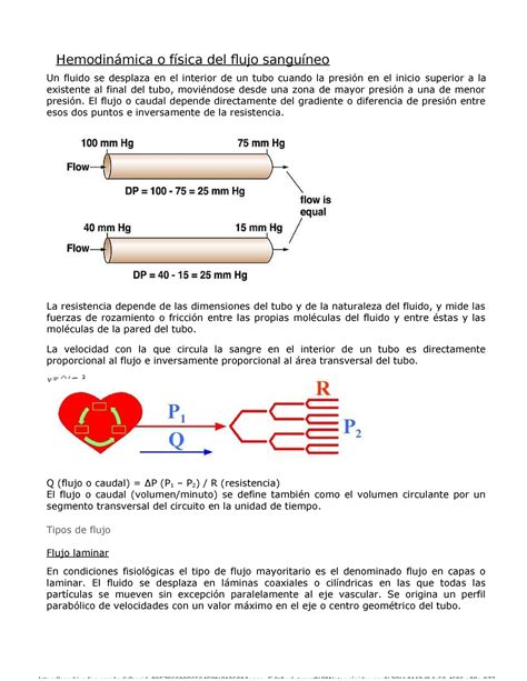 Hemodinámica o física del flujo sanguíneo Hemodinámica o física del