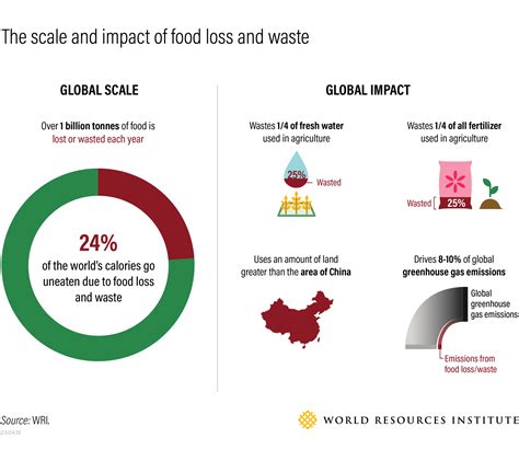 The Global Benefits Of Reducing Food Loss And Waste And How To Do It