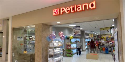 Novi Petland sold sick, worm-infested puppies, lawsuit claims